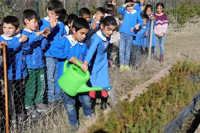 Santim santim fidandan hatıra ormanına