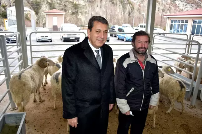 Nallıhan Belediye Başkanı İsmail Öntaş: