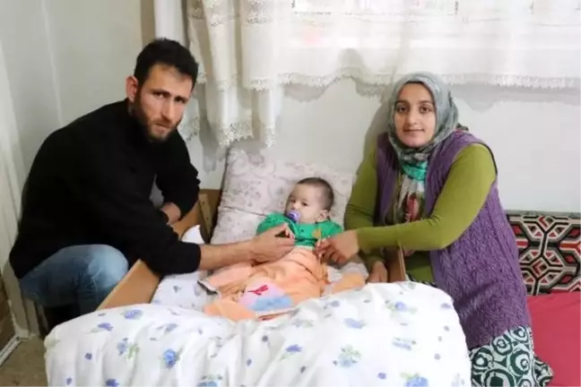 SMA hastalığından ikinci kez bebeklerini kaybetmek istemiyorlar