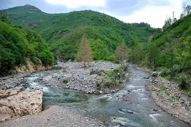 Ordu'daki Bolaman Havzası ıslah edilecek
