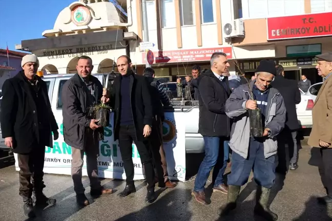 Demirköy'de 500 fidan dağıtıldı