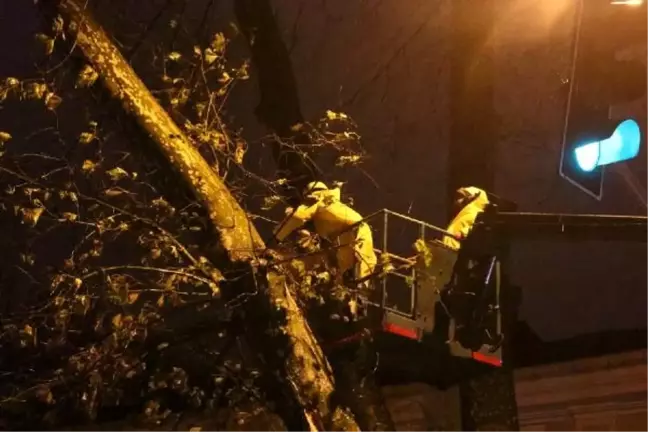 Beşiktaş'ta devrilmek üzere olan ağaç nedeniyle cadde trafiğe kapatıldı