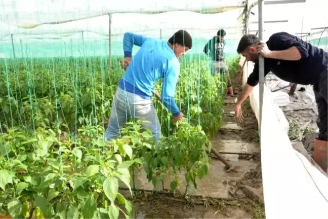Mersin'de çökme meydana gelen yol, ulaşıma kapatıldı (3)