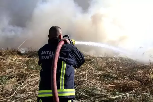 Antalya'da sazlık yangını (3)