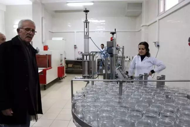 Türkiye'de arıcı sayısı 60 bine yaklaştı