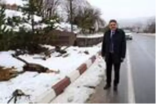 Ankara'da hayvan heykellerine saldırıya tepki