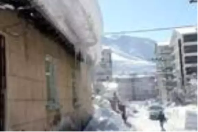 Bitlis'te eğitime 1 gün ara verildi