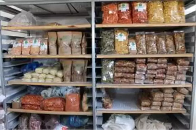 Çocukları için sebze kattığı makarnayla girişimci oldu