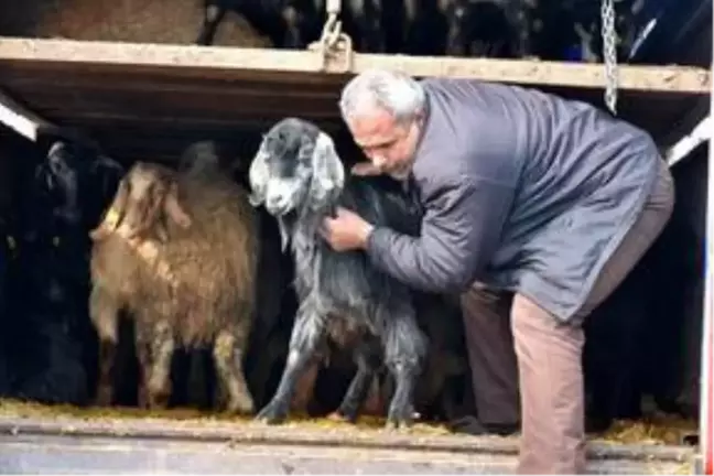 Malatya'da depremden etkilenen çobanlara 53 küçükbaş hayvan bağışlandı