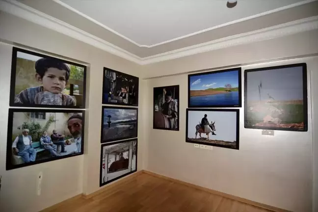 Ressam Fatih Çam'ın