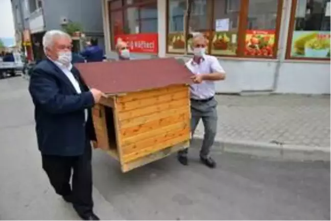Bursalı hayvansever evinde de sahipsiz hayvanları unutmadı