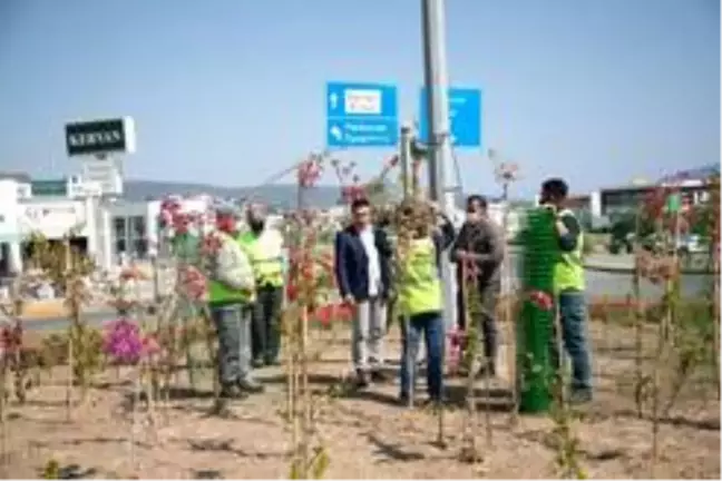 Bodrum çiçeklerle donatılıyor