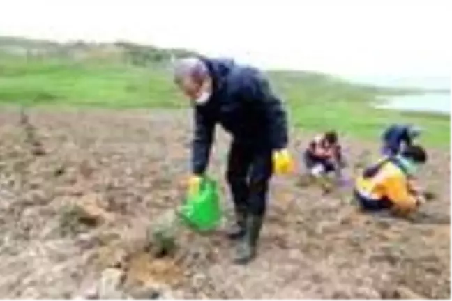 Eyüpsultan'a 15 bin lavanta dikimi yapılacak