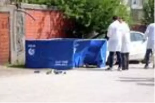 Miras anlaşmazlığından husumetli olduğu bacanağını çıkan tartışmada öldürdü