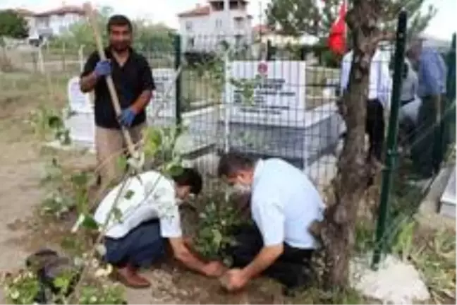 Kaymakamlıklardan 'Kahramanlara vefa' projesi