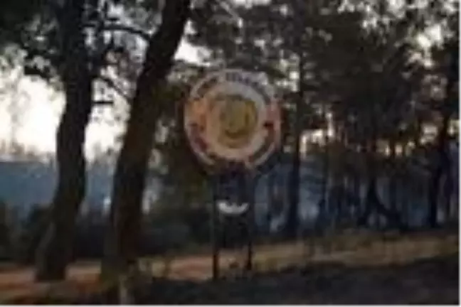 Çanakkale'de orman yangını (6)