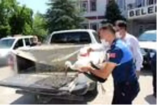 Yaralı leyleğe zabıta ekipleri sahip çıktı