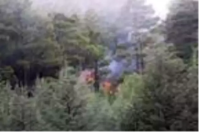 Bucak'ta orman yangını (2)