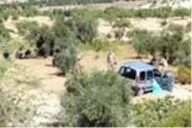 Son dakika haberleri: Zeytin bahçesine uçan aracın sürücüsü öldü