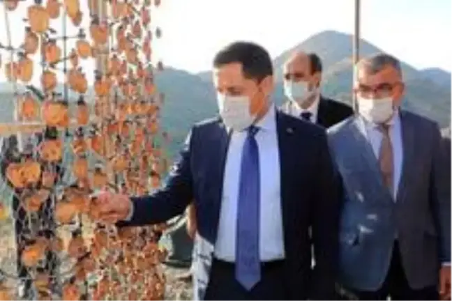 'Tarım Şehr-i Amasya'