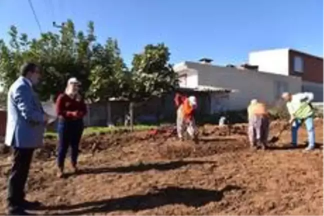 Çan Belediyesi 20 bin salep fidesini toprakla buluşturuyor