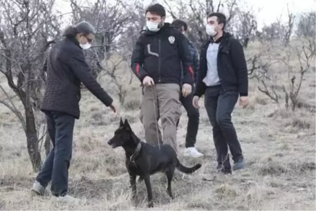 Ankara'da dağlık arazide kesik insana ait kafatası bulundu