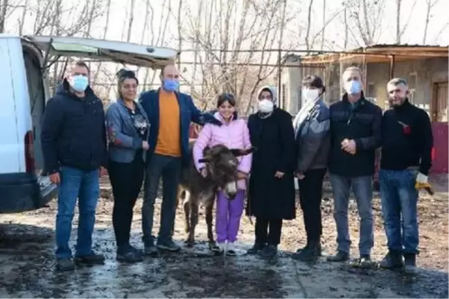 İşkence edilen eşek, İzmir'e gönderildi