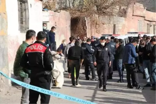 Kovadaki közden sızan gazdan zehirlenen 2 genç öldü