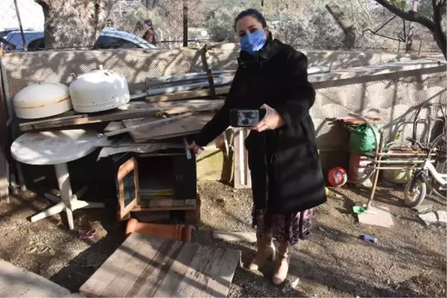 Derya Durmaz, çalınan köpeği 'Zeytin'i bulana ödül verecek