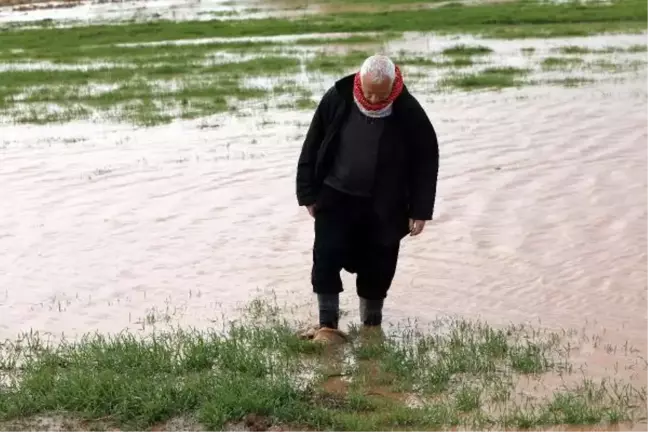 Gaziantep'te sağanak yağış sonrası tarlalar su altında kaldı