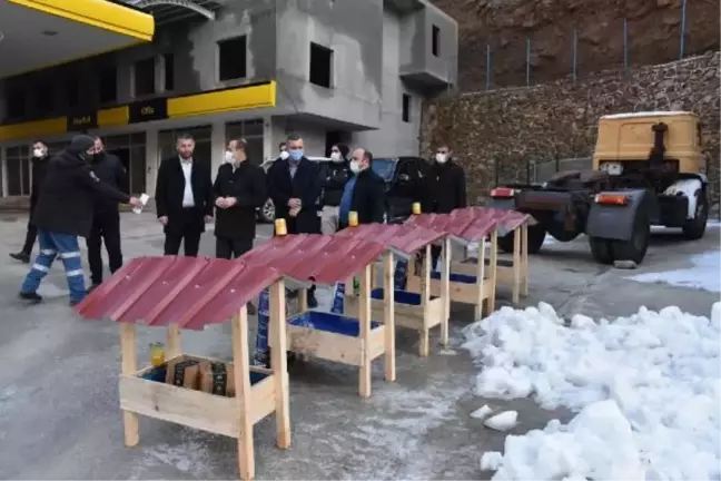 Uludere'de, sokak hayvanları için iş birliğiyle 50 barınak