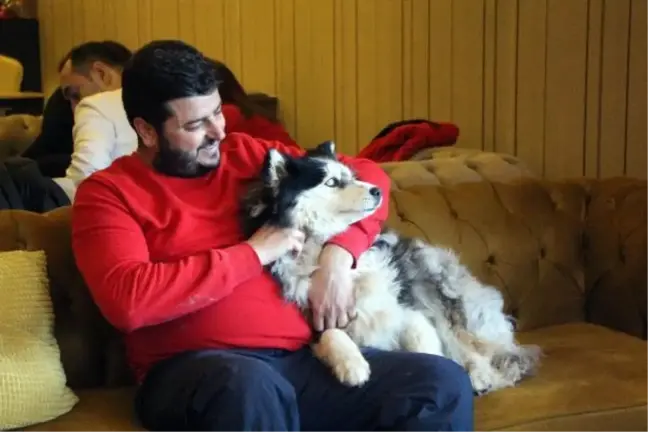 Donmuş gölün buzu kırılınca suya düşen köpeği kurtarmak için seferber oldular