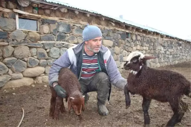 BAKAN PAKDEMİRLİ TALİMAT VERDİ, 90 KUZU HEDİYE EDİLDİ