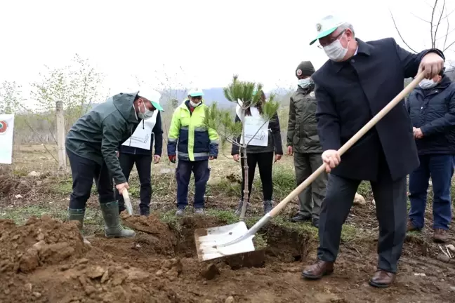 Fatsa'da 160 fidan toprakla buluştu