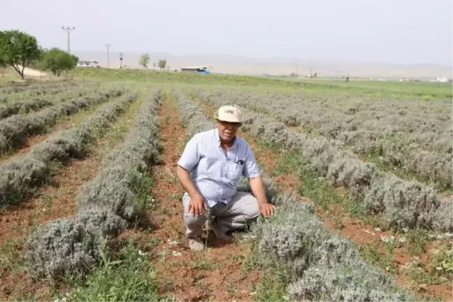 Dicle Elektrik'ten