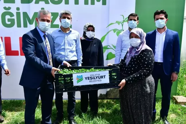 Yeşiyurt'ta 200 bin fide ücretsiz olarak çiftçilerle buluşuyor