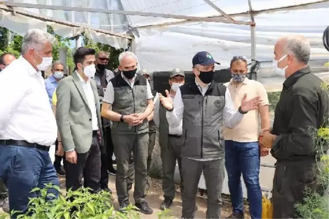 Bakan Pakdemirli: Ekoturizm alanlarımız Türkiye turizmine yıllık 250 milyon TL katkıda bulunacak