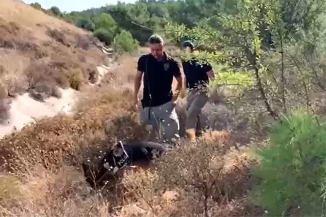 Vicdan azabı, 15 yıllık cinayeti çözdü