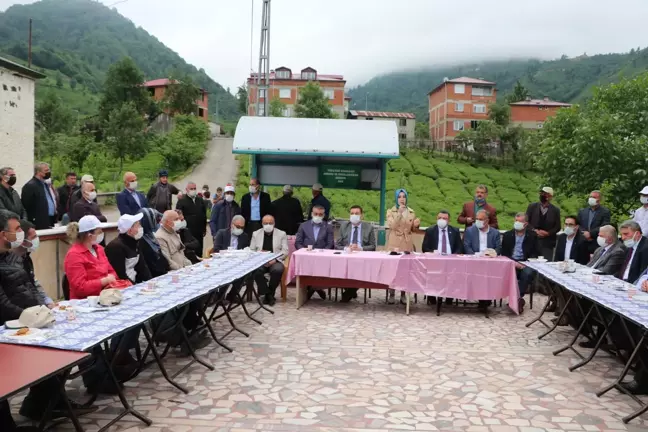 Ortahisar'da çay hasadı törenle başladı