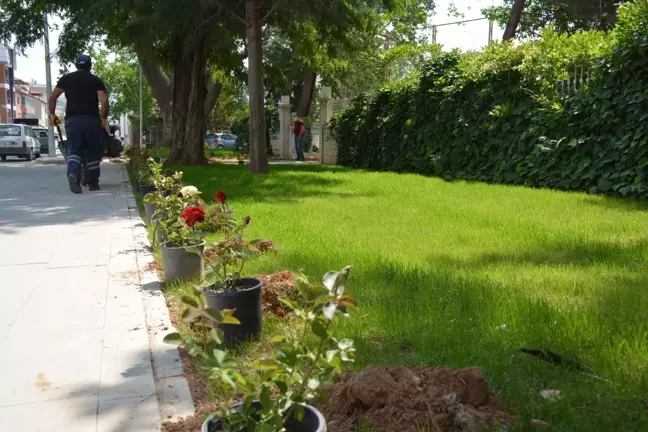 Dinar'dan kısa kısa