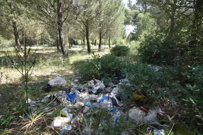 Torbalı'da 'Temizlik Harekatı'