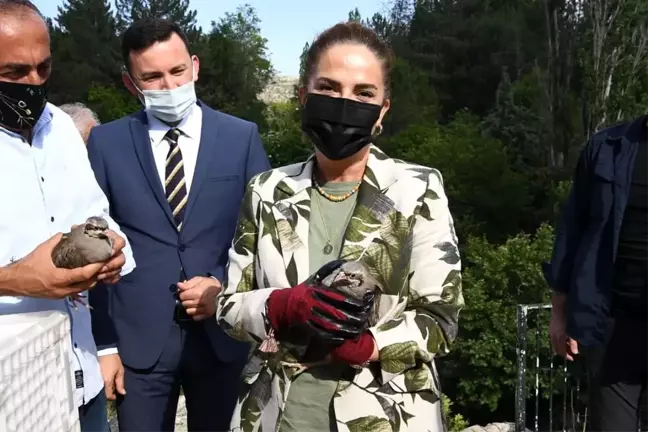 Vali Funda Kocabıyık 175 Adet Kekliği Tarihi Clandras Köprüsünde Doğaya Saldı