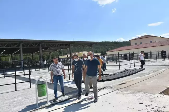 Boyabat'ta 4,1 milyon liraya mal olan Canlı Hayvan Pazarı tamamlandı