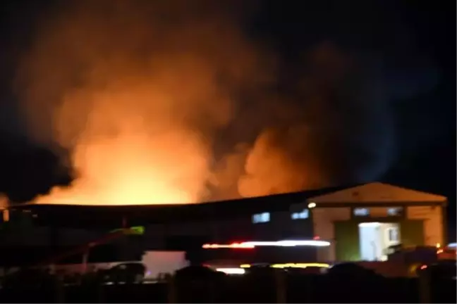 Son dakika haberleri... Tekirdağ'da geri dönüşüm fabrikasında yangın (2)
