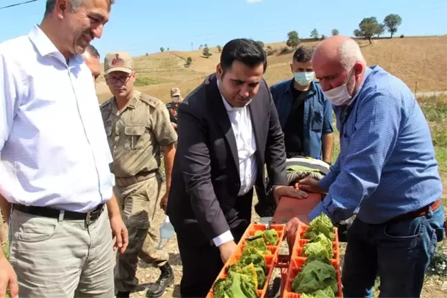 Kaymakam Gökcecik: