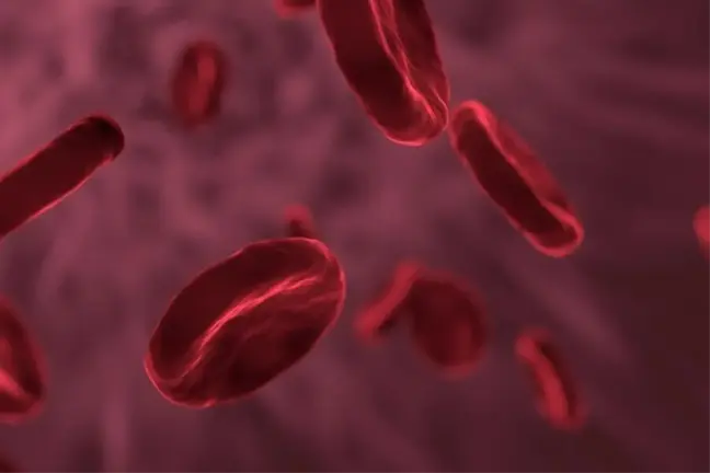 HCT Hematokrit nedir? Hematokrit yüksekliği, HCT hematokrit düşüklüğü ne demektir?