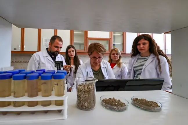 Van'da geliştirilen yerli mikrobiyal gübre kuraklığın tarımdaki etkisini azaltacak
