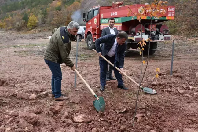 Gümüşhane'de 450 fidan toprakla buluştu