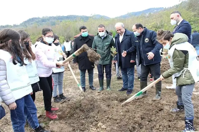 Fatsa'da dikilen fidan sayısı 5 bin 500'e ulaştı