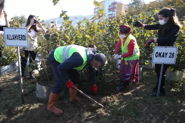 Giresun'da